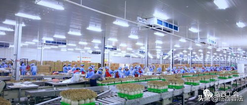 讓職工做企業(yè)的主人,河北光明九道菇暢通廠務公開渠道